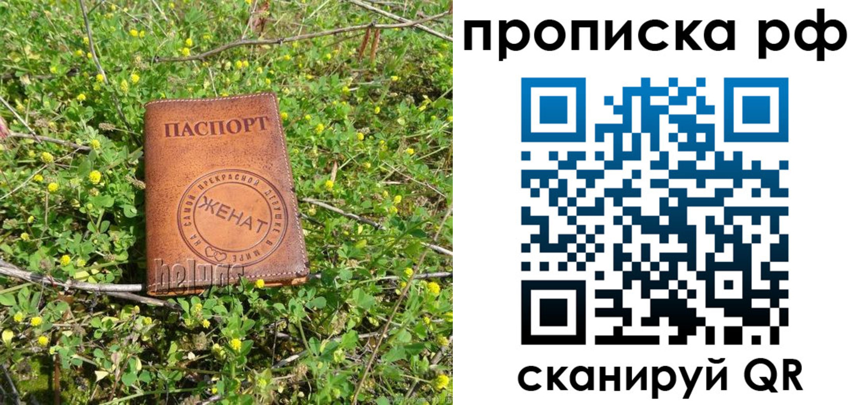 прописка паспорт в Чаплыгине
